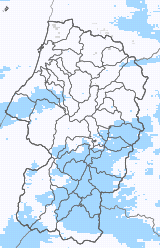雨量分布